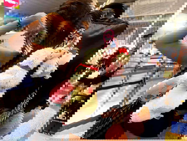 veiyul veiyul archive image