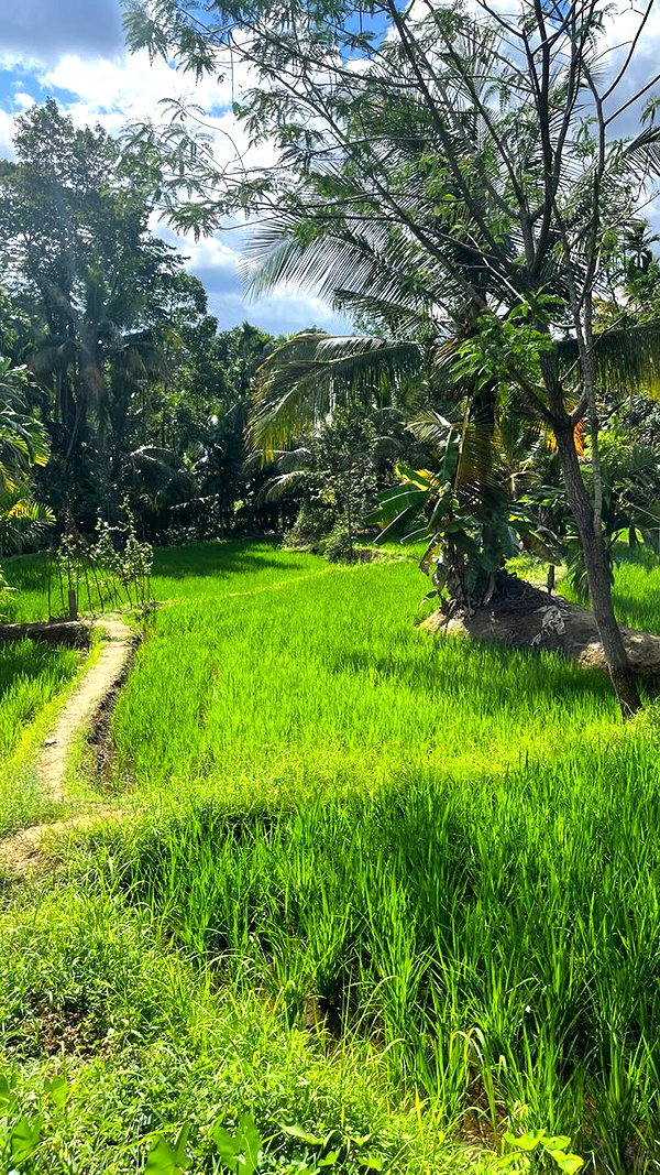 urplpur instagram image archive image