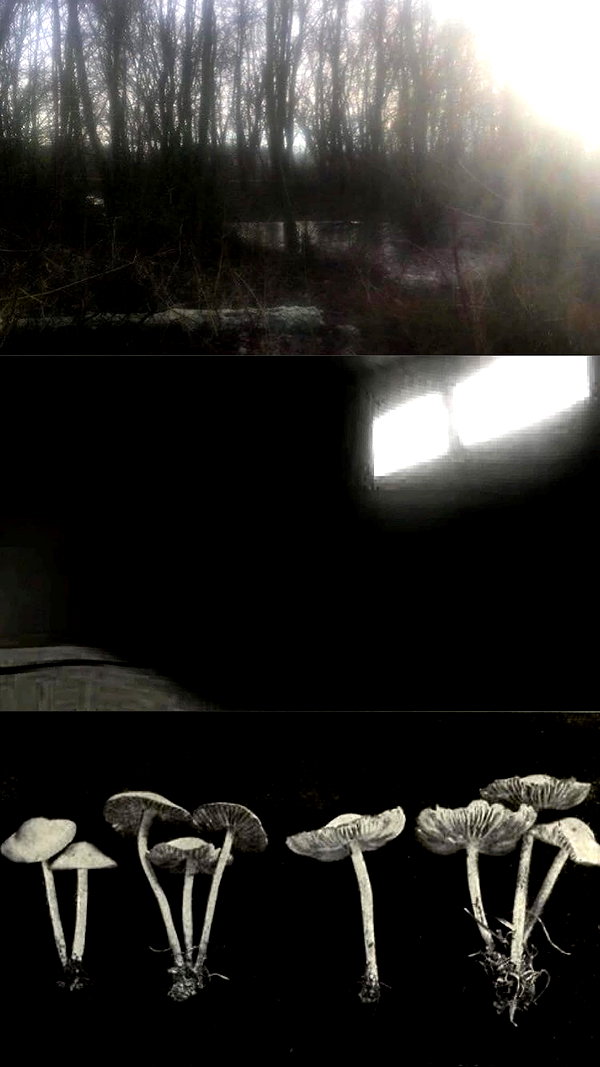 danafetishistova danafetishistova archive image