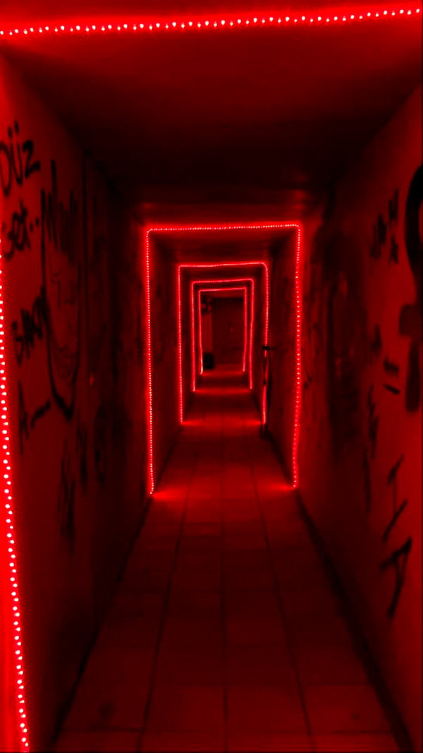 rott3nbambi instagram image archive image