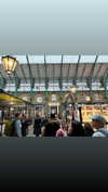 martinagiiuliani Altpins Profile Picture