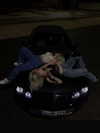 sina.njck Altpins Profile Picture