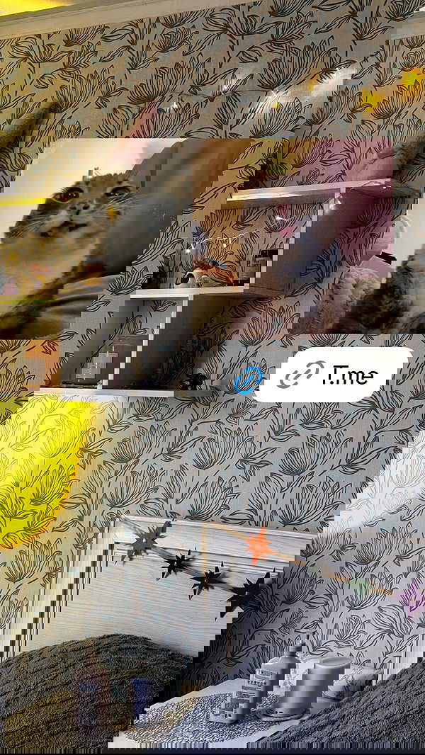 vvvierness vvvierness archive image