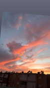 babynympho_archive Altpins Profile Picture