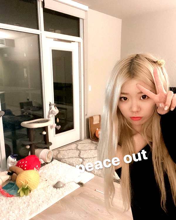 igumdrop instagram image archive image
