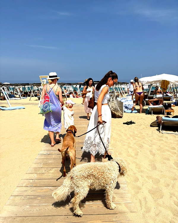 ninastodden instagram image archive image