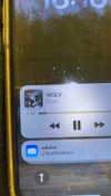 babynympho_archive Altpins Profile Picture