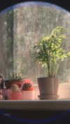 alisen.mari Altpins Profile Picture