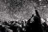 adele Altpins Profile Picture