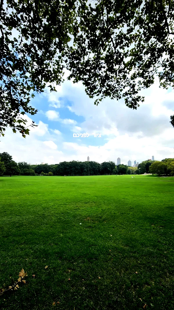 barzomer instagram image archive image