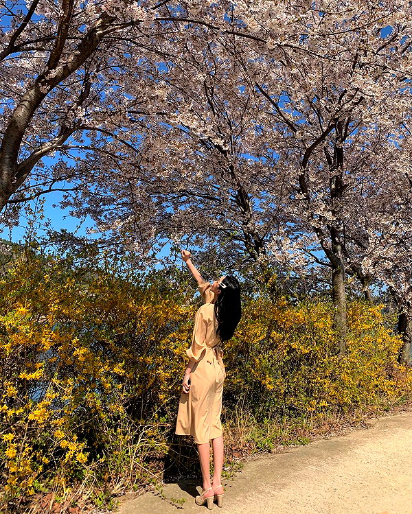 daxbin instagram image archive image