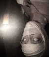 asylome Altpins Profile Picture