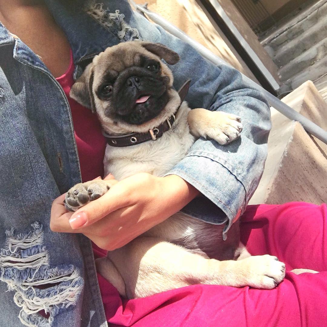 kkulakovaa instagram image archive image