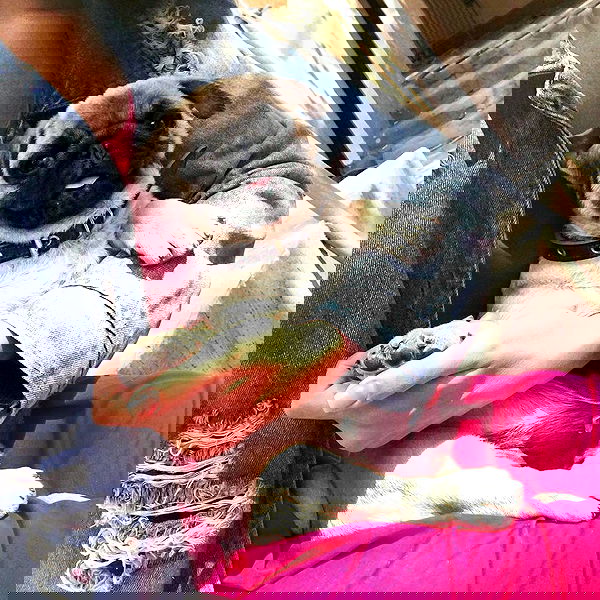 kkulakovaa image ~ Altpins