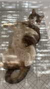dante_yangpa Altpins Profile Picture
