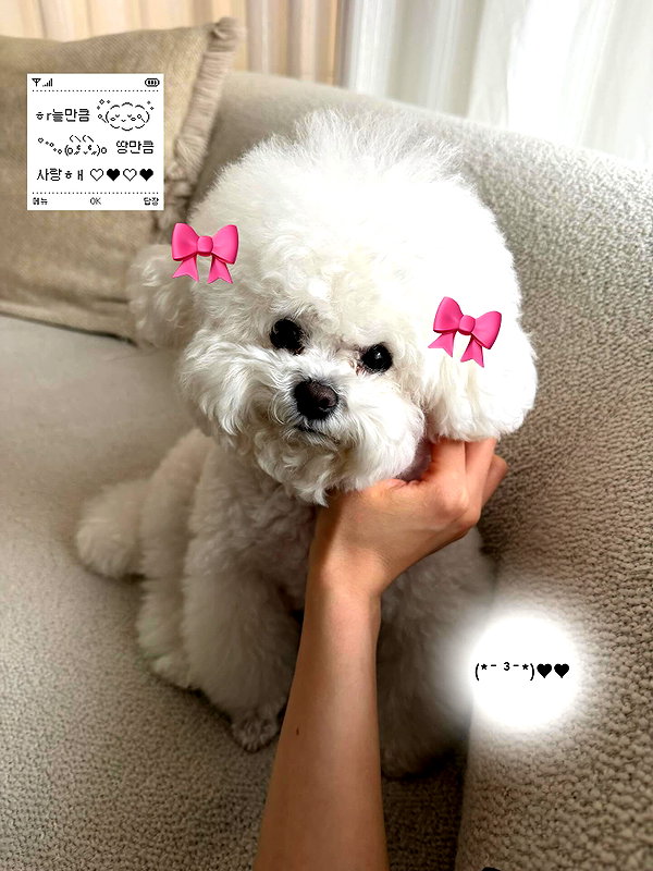 dear.zia instagram image archive image
