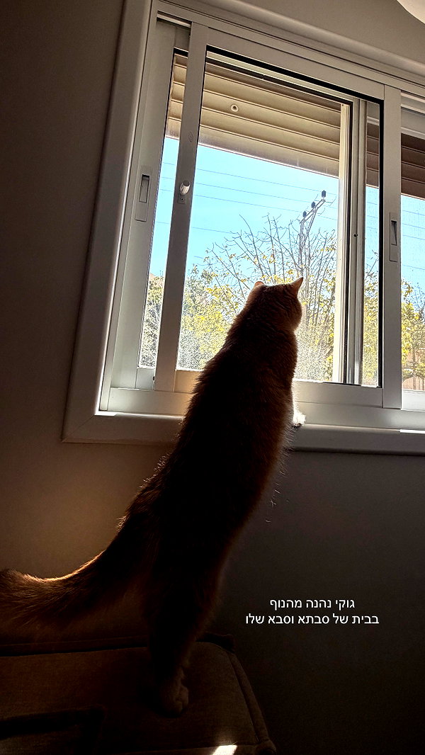 itsilanosh instagram image archive image