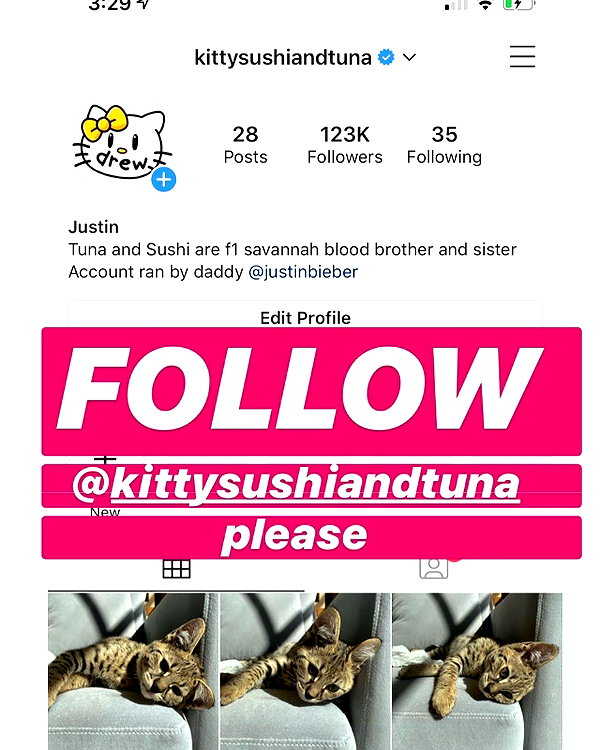 lilbieber instagram image archive image