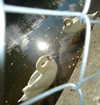 s111y_ccc0nt3 Altpins Profile Picture