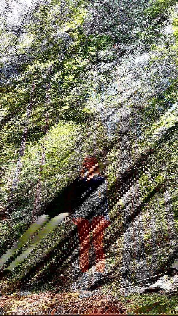 carolinezalog carolinezalog archive image