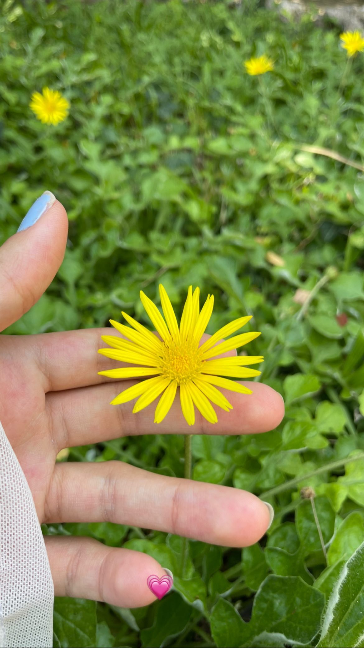 shunli__mei instagram image archive image