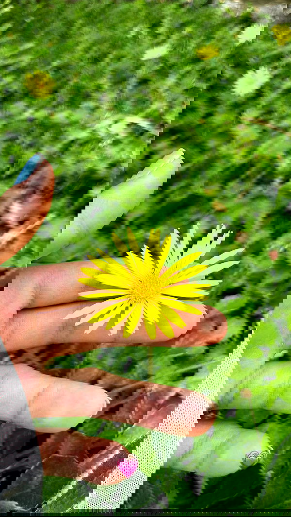 shunli__mei image ~ Altpins