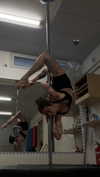 lital.shli Altpins Profile Picture