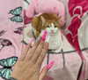 jtilb2 Altpins Profile Picture