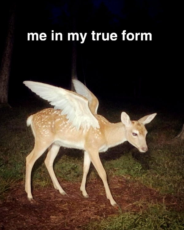 ellaexplicit_ instagram image archive image