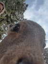 emwstwood Altpins Profile Picture