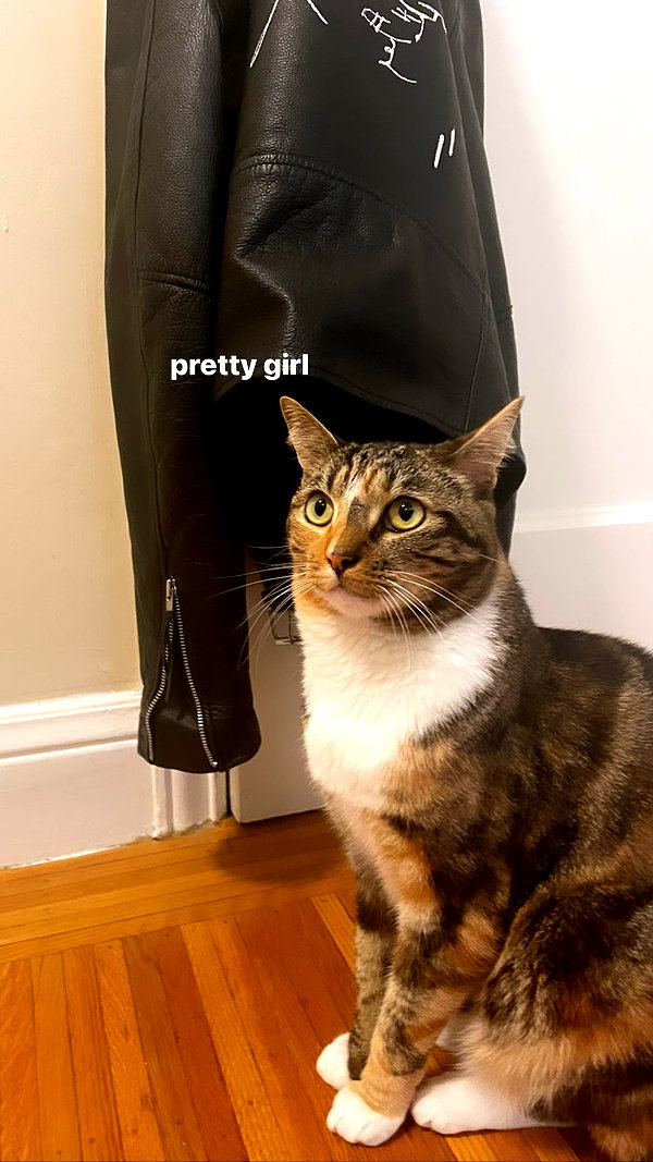 1uvgabi instagram image archive image