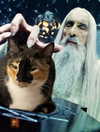 ellaexplicit_ Altpins Profile Picture