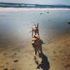 sashapieterse Altpins Profile Picture