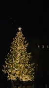 annabottoo Altpins Profile Picture