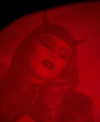 xtina Altpins Profile Picture