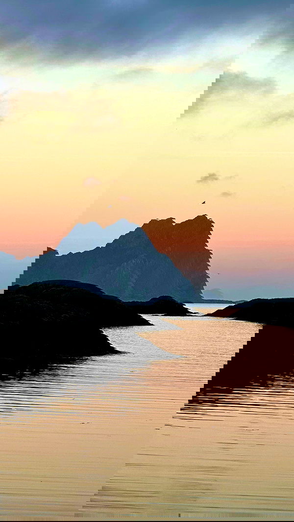 taylor.creeden taylor.creeden archive image