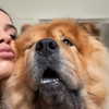 leahhalton Altpins Profile Picture