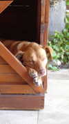 maruliners Altpins Profile Picture