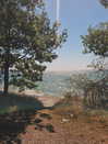 rixiadigivolved Altpins Profile Picture