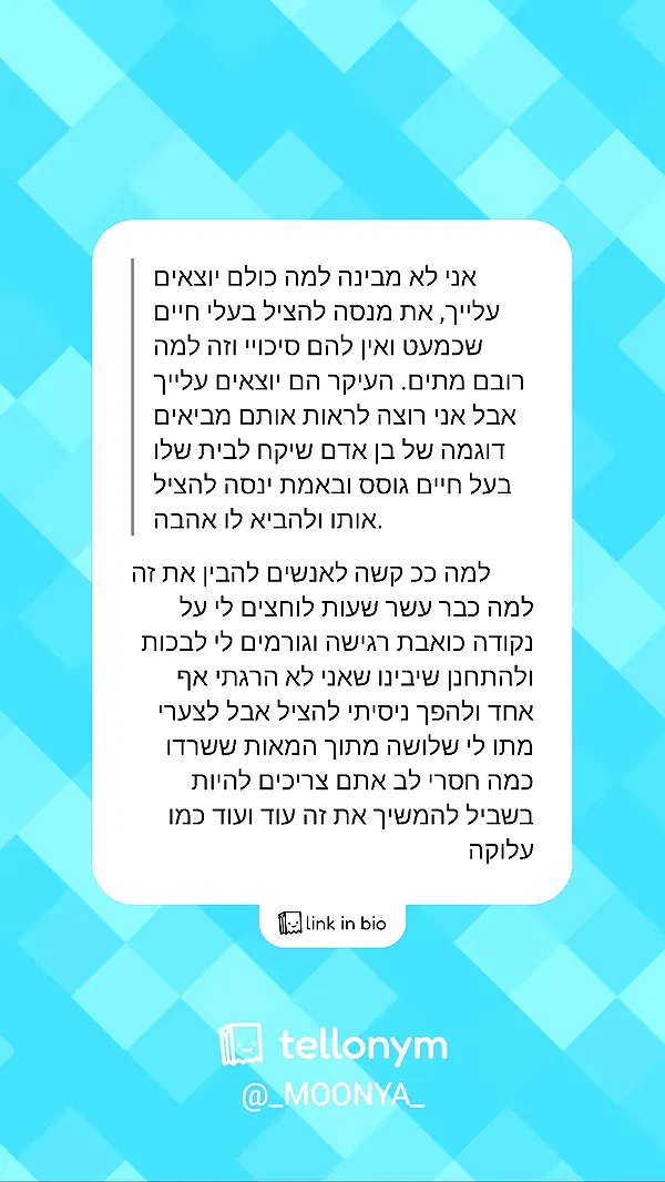 moonyyyya moonyyyya archive image