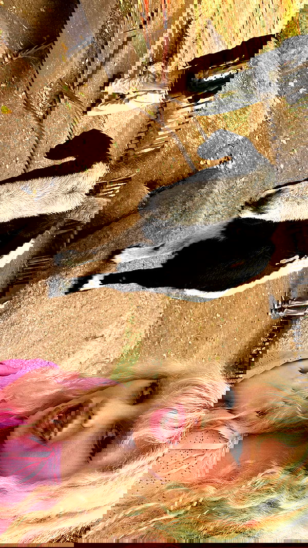 ormosheee ormosheee archive image