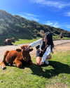 nikoleta.milenova Altpins Profile Picture