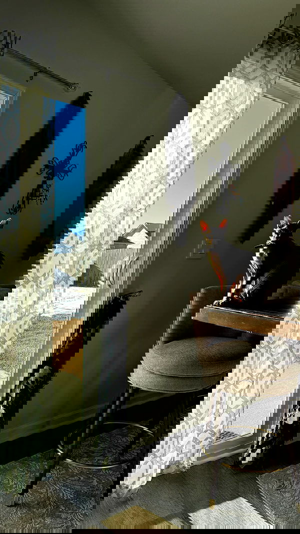 zommmbri zommmbri archive image