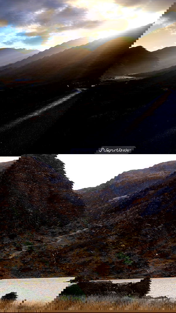 taylor.creeden taylor.creeden archive image