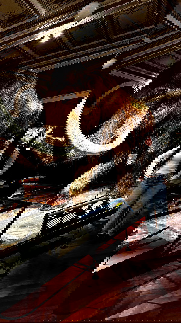 rinsrain rinsrain archive image