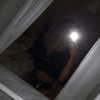 lilih Altpins Profile Picture