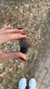 mishel_d_ Altpins Profile Picture