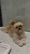 maya.keyy Altpins Profile Picture