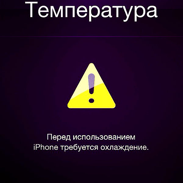 alishevs archive image
