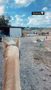 _stella_shani_ Altpins Profile Picture